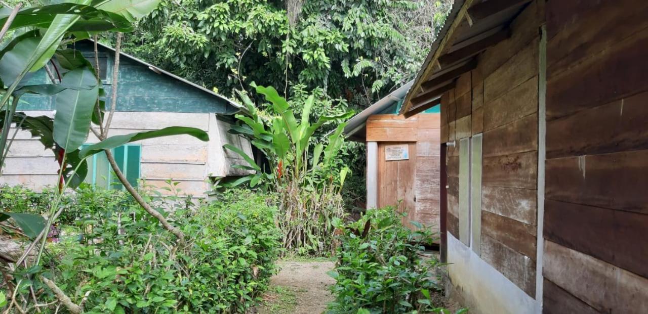 Lacanjá Centro Ecoturistico Ya'Ajche酒店 外观 照片